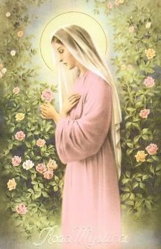 Our Lady Rosa Mystica